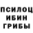 Псилоцибиновые грибы Magic Shrooms Marc Marronnier