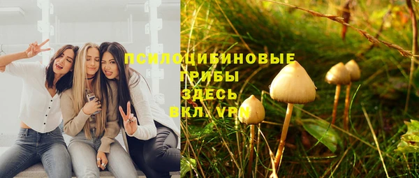 шишки Киреевск