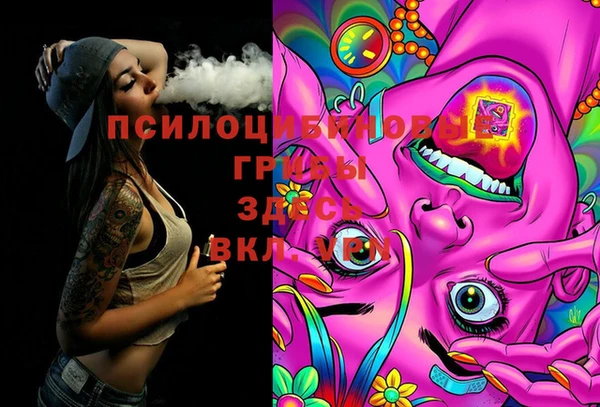шишки Киреевск
