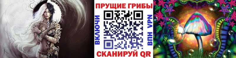 Купить где Котельнич Галлюциногенные грибы Cubensis